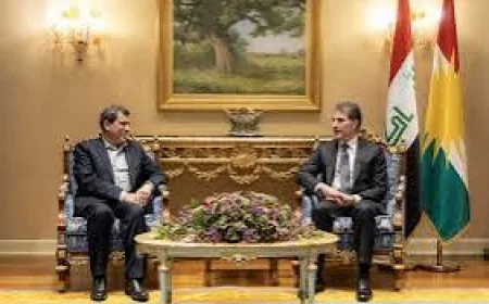 Syria’s Road to Stability: Kurdish Democratic Federalism as a Pathway Forward