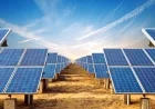 The Solar Paradox: Managing Grid Disruption in the Renewable Energy Transition