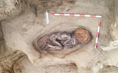 Remains of 5,000-year-old "elite woman" found at former garbage dump