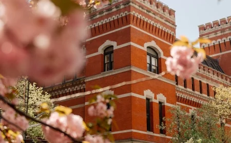 In New York, Art Abounds This May Amid Market Uncertainty