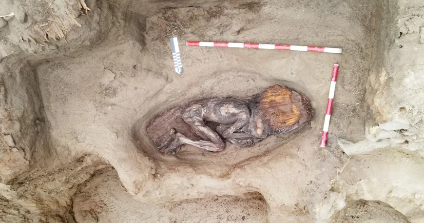Remains of 5,000-year-old "elite woman" found at former garbage dump