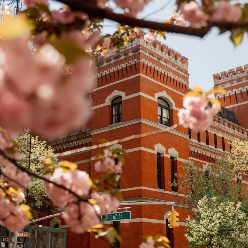 In New York, Art Abounds This May Amid Market Uncertainty